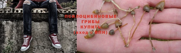 таблы Алексеевка
