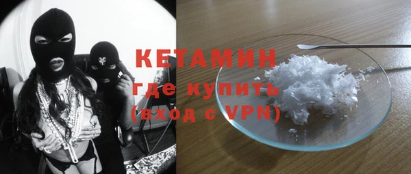 стаф Алзамай