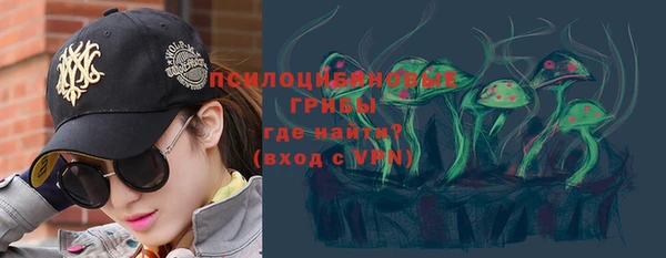 ешки Алексин