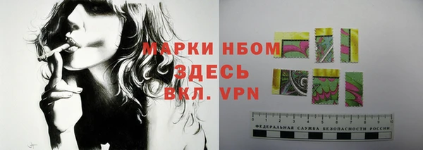 стаф Алзамай