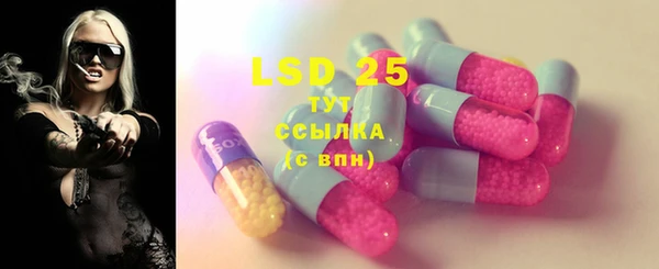 стаф Алзамай