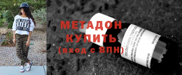 стаф Алзамай